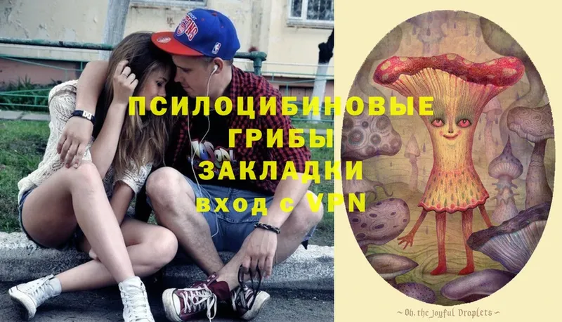 Псилоцибиновые грибы Magic Shrooms  купить  цена  Бугуруслан 